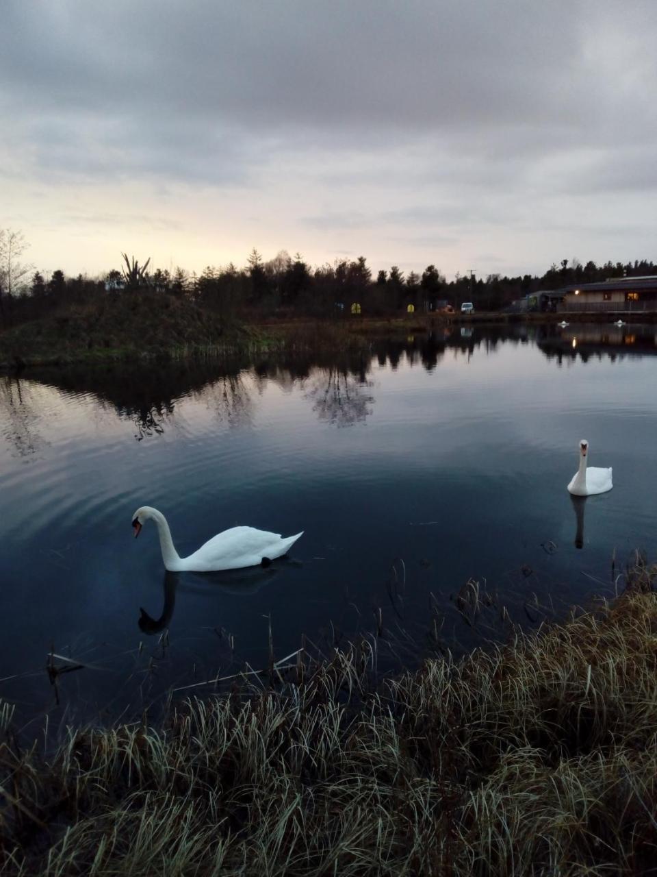 Inny River Lodge Rathowen エクステリア 写真